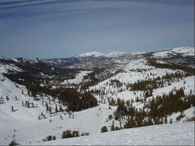 DSC00094.JPG
<No Caption>