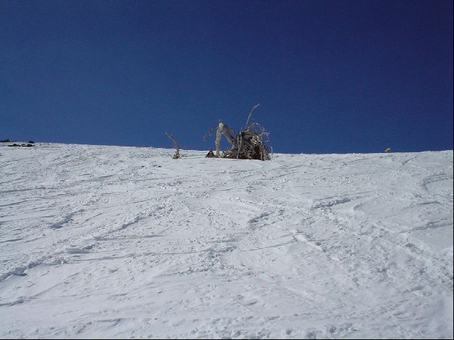 DSC00098.JPG
<No Caption>