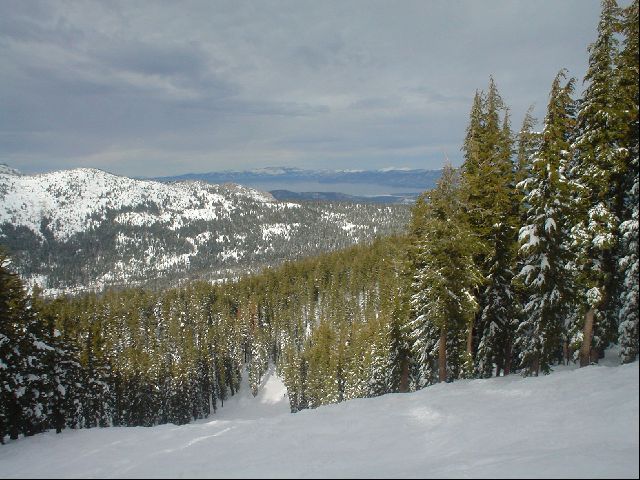 DSC01423.JPG
<No Caption>