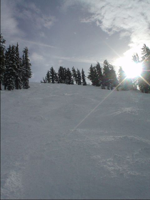 DSC01424.JPG
<No Caption>