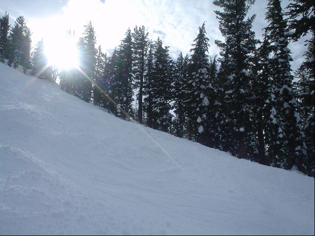 DSC01425.JPG
<No Caption>