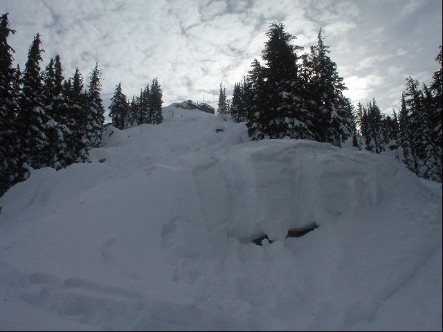 DSC01426.JPG
<No Caption>