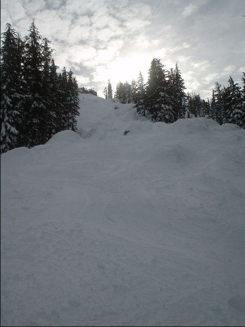 DSC01427.JPG
<No Caption>