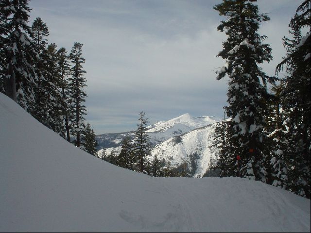 DSC01428.JPG
<No Caption>