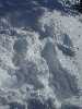 Snow Angel!
<No Caption>