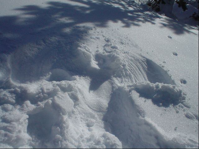 Snow Angel, Part II
<No Caption>