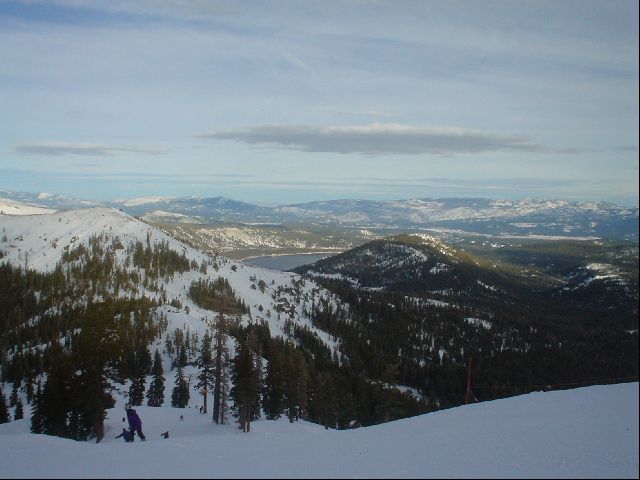 DSC01447.JPG
<No Caption>