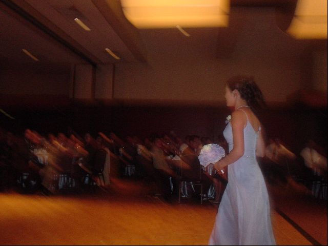 DSC00972.JPG
<No Caption>