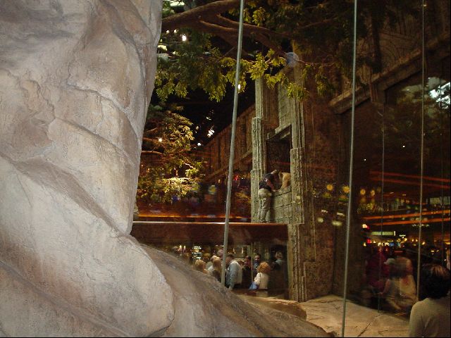 DSC01197.JPG
<No Caption>