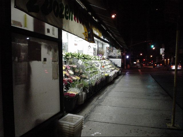 DSC01254.JPG
<No Caption>