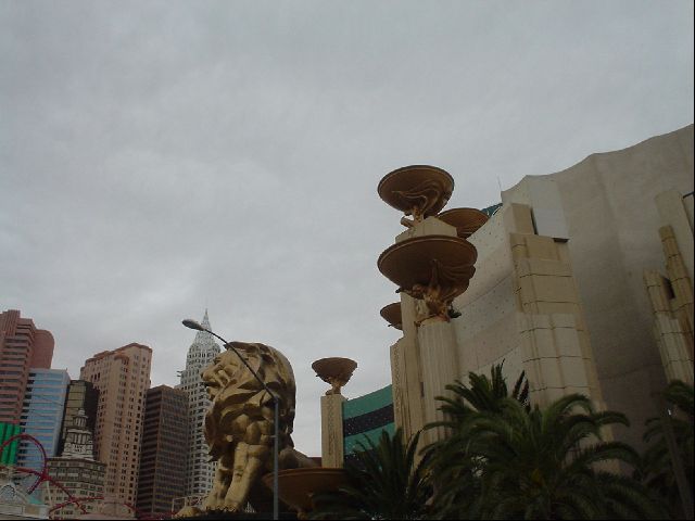 DSC01230.JPG
<No Caption>