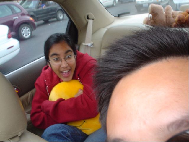 DSC01232.JPG
<No Caption>