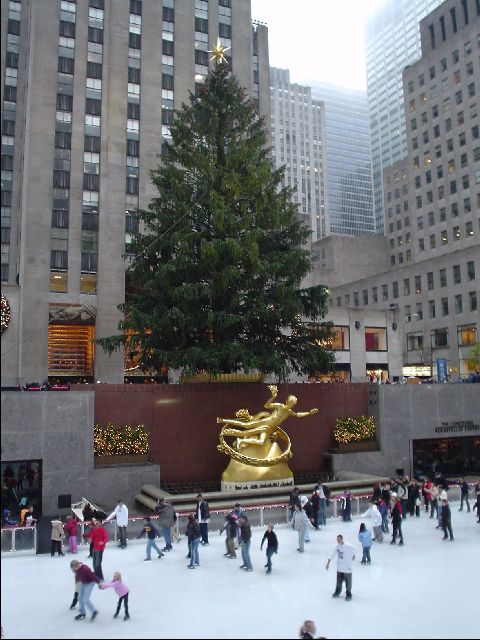 DSC01259-R.JPG
<No Caption>