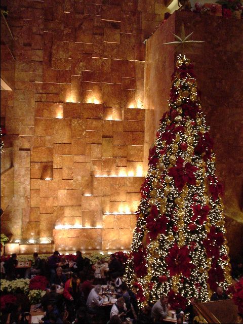 DSC01264-R.JPG
<No Caption>