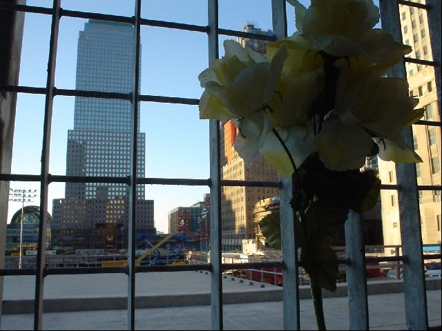 DSC01285.JPG
<No Caption>