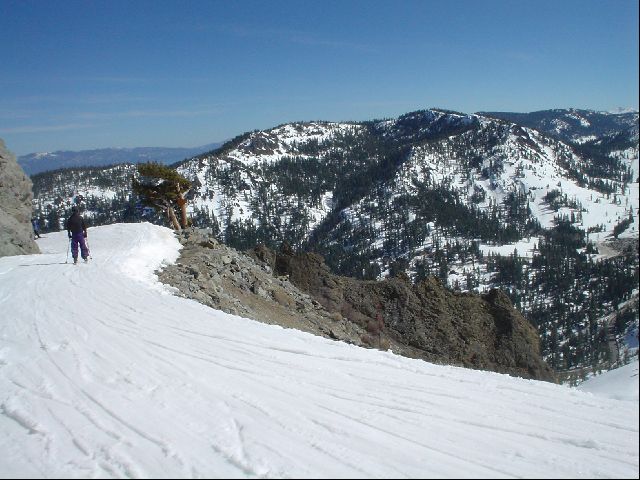 Spring Skiing Terrain
<No Caption>