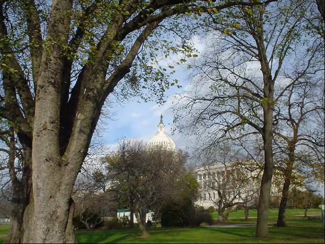 DSC01301.JPG
<No Caption>