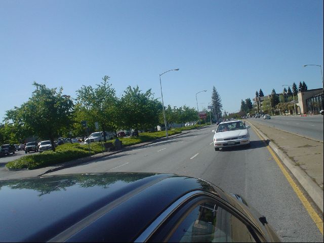 Jonathan and Tilden
Look closely... they're there.