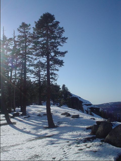 Nature Shot I
On the way back