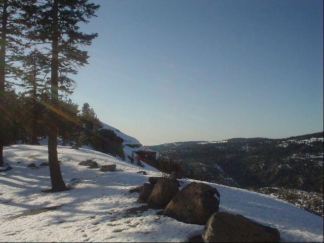 Nature Shot II
On the way back