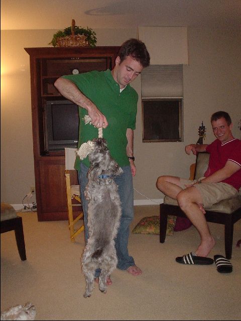 Strong Teeth
Will and Henry