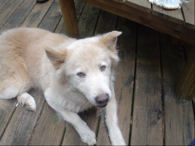 Ze Zhou
<No Caption>