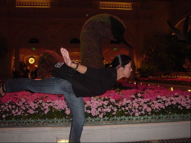 Swan's at Bellagio
Amy