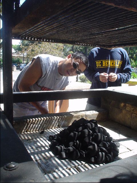 Setting Up the Grill
Alvin