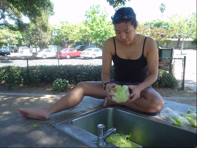 "Washing" the Veggies
Amy