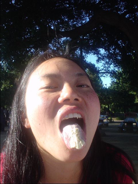 Cheesecake (Step 3)
Melanie