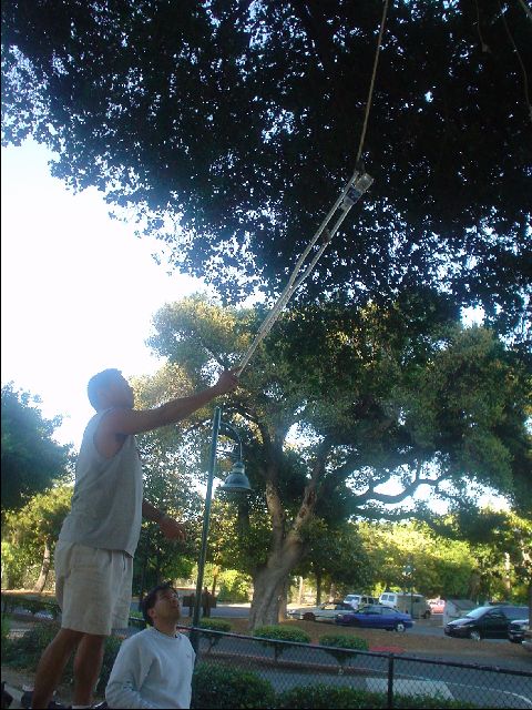 Strange Birthday Traditions
Alvin and Jonathan