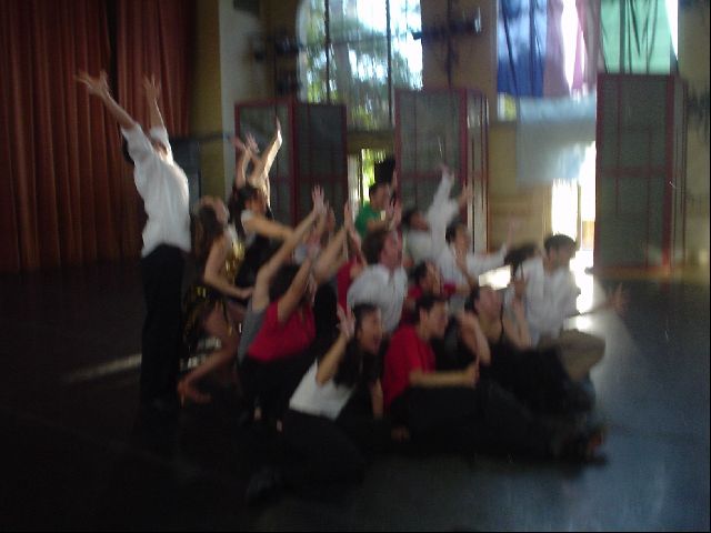 Organized Chaos
<No Caption>