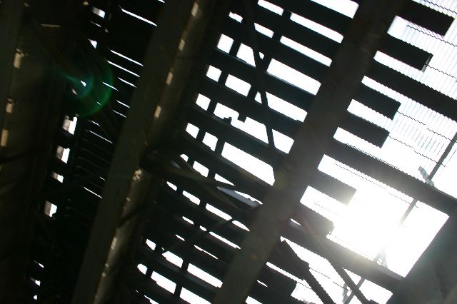 IMG_0218.JPG
<No Caption>