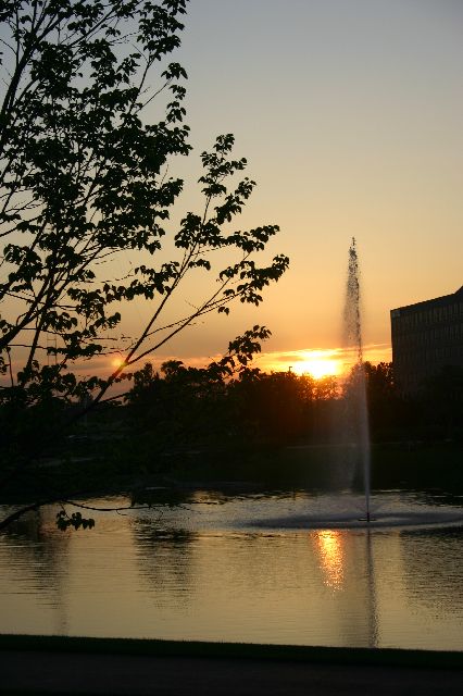 IMG_0305.JPG
<No Caption>