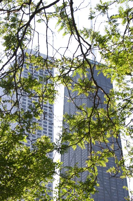 IMG_0575.JPG
<No Caption>