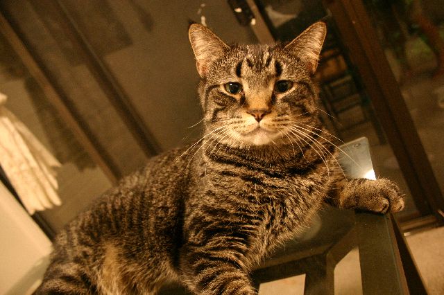 Xian Xian
<No Caption>