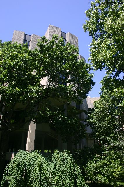 IMG_0642.JPG
<No Caption>