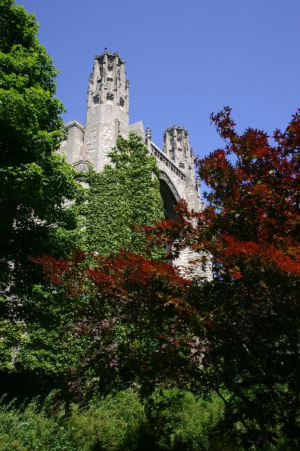 IMG_0681.JPG
<No Caption>