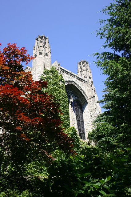 IMG_0696.JPG
<No Caption>