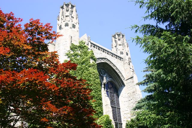 IMG_0698.JPG
<No Caption>