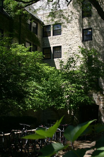 IMG_0702.JPG
<No Caption>