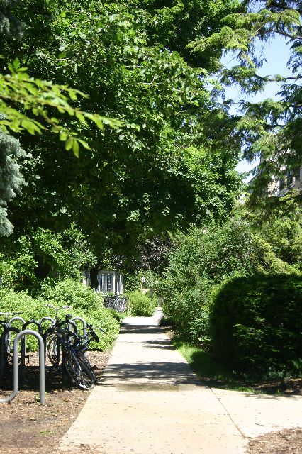 IMG_0714.JPG
<No Caption>