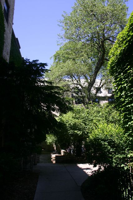 IMG_0719.JPG
<No Caption>