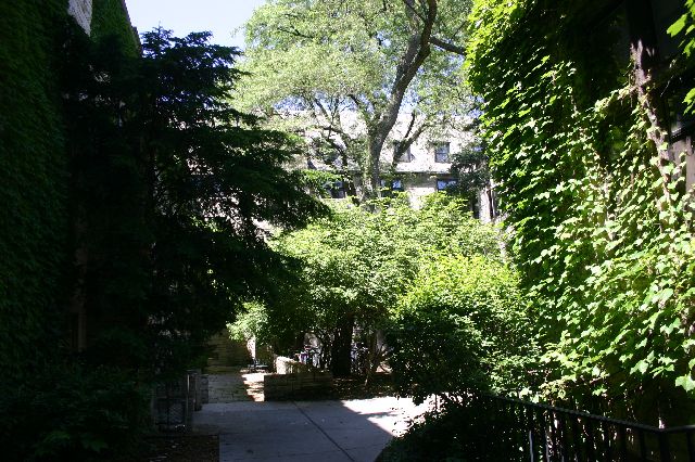 IMG_0722.JPG
<No Caption>