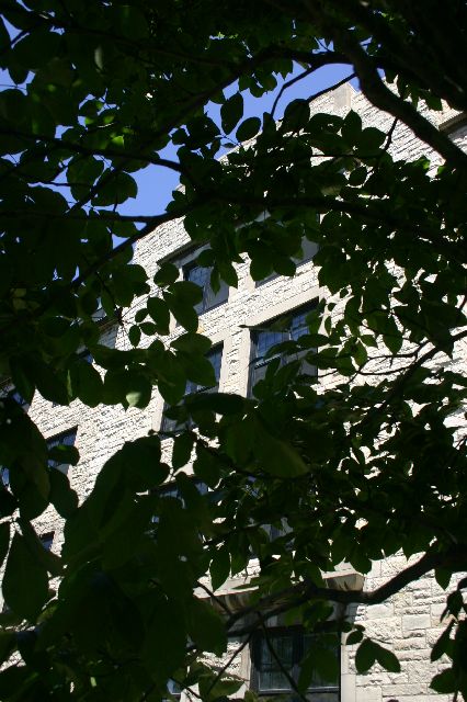 IMG_0730.JPG
<No Caption>