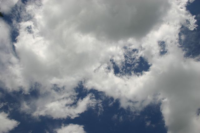 Random Artsy Shot III
<No Caption>