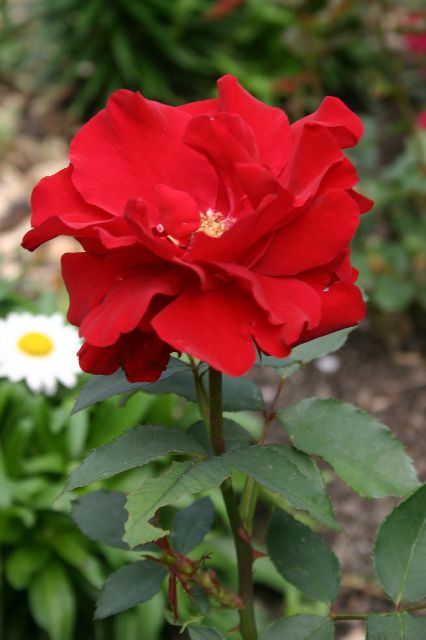 Random Artsy Shot IV
<No Caption>