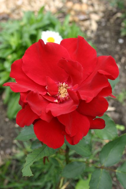 Random Artsy Shot V
<No Caption>