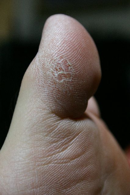 Random Artsy Shot VI
<No Caption>