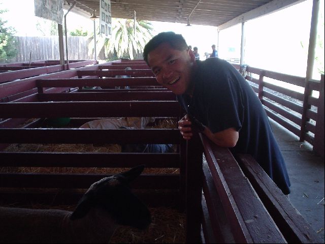 Me and Sheep
<No Caption>